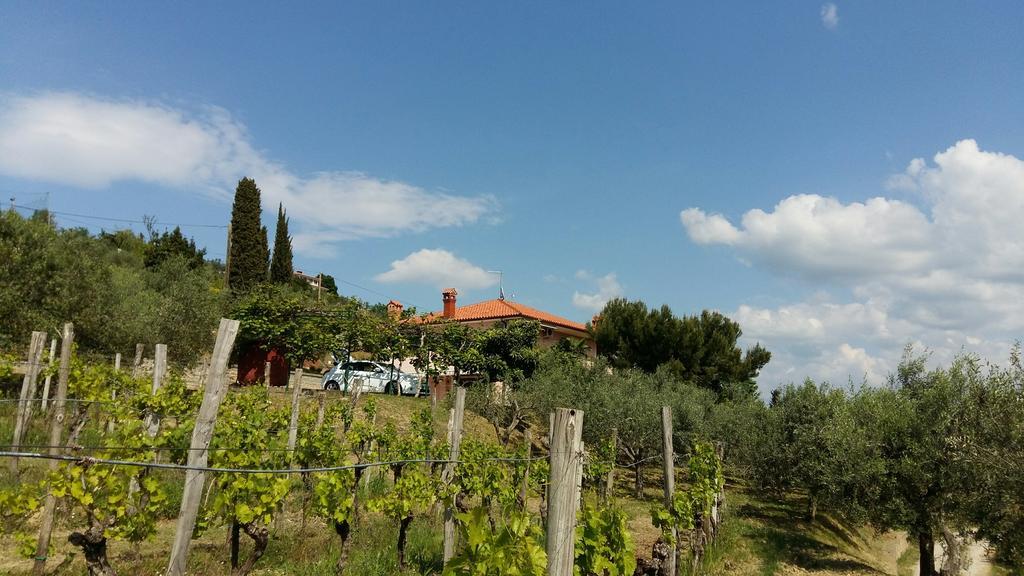 Villa Mejak & Bordon Sečovlje Exterior foto