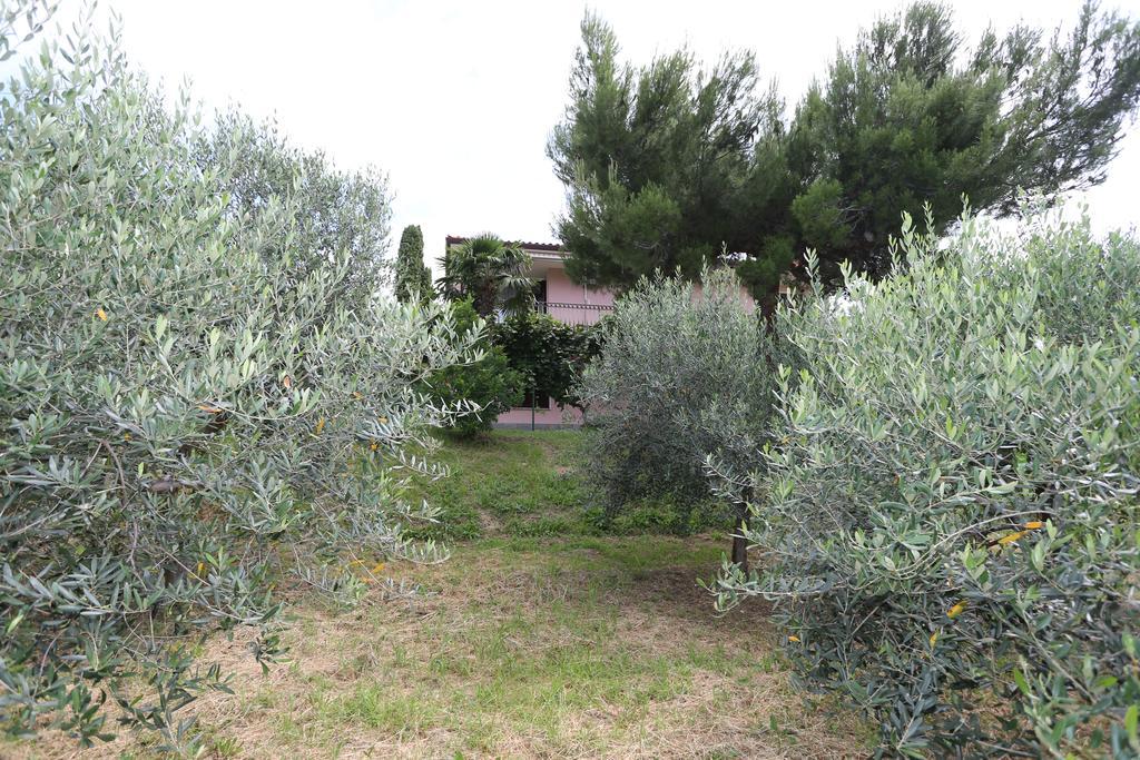 Villa Mejak & Bordon Sečovlje Exterior foto