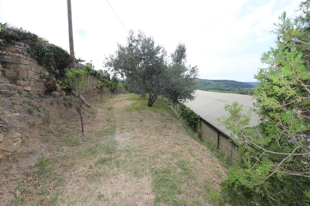 Villa Mejak & Bordon Sečovlje Exterior foto