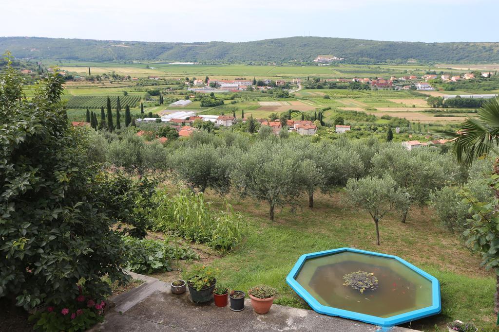 Villa Mejak & Bordon Sečovlje Exterior foto